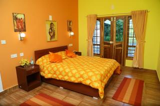 Munnar Blue Mist - 7