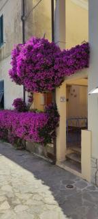 La casa dei Nonni - Cavo - 9