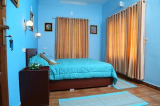 Munnar Blue Mist - 4