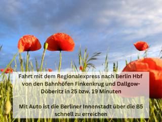 Ivy Haus - Falkensee - 8