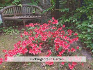 Ivy Haus - Falkensee - 7