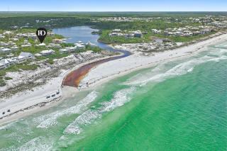 Beach Bliss - Santa Rosa Beach - 7