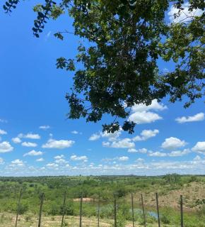 Fazenda em Irará disponível para aluguel no São João - Irará - 7