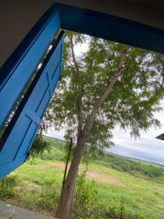 Fazenda em Irará disponível para aluguel no São João - Irará - 1