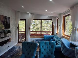Kalinderu luxury ski loft - 5