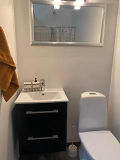 Charming - Luxurious 1 bedroom apartment in The Heart of Aalborg - Aalborg - 8