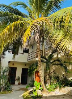Coco 42 - Playa del Carmen - 6