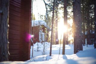 Crow Creek Cabins - Inari - 3