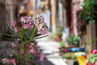 La mia deliziosa Casetta di giù - 4