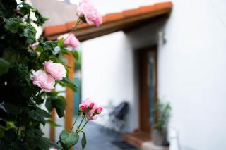 Anca's Haus - Schwanstetten - 1