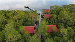 Raja Ampat Blue Sea - Besir - 2