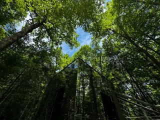 454 Looking Glass Mirror Cabin - Balsam Grove - 8