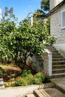 Apartments by the sea Medvinjak, Korcula - 4439 - Korčula - 4