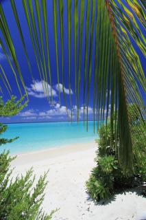 Relax Residence Thoddoo Maldives - 5