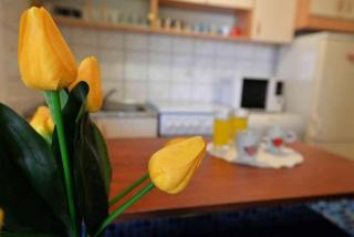 Apartments with parking space Vodice - 23346 - 7