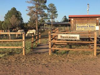 Cabin with Wild Horses, Fireplace, Dog Friendly & StarLink - Overgaard - 5