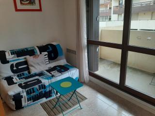 Appartement Coquet Proche Plage, Quartier Calme, Parking Privé - FR-1-239-1065 - 5