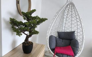 Les Suites DNJ Martinique - 5