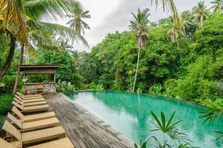 Pertiwi Bisma 1 - Ubud - 1