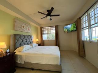 Balisier Apartments - Apt #1 - Portsmouth - 7