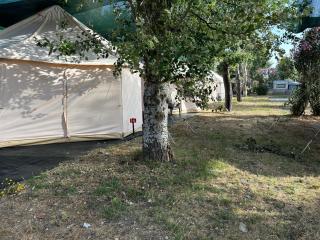 Paliouri Luxury Bungalows - Paliouri - 7