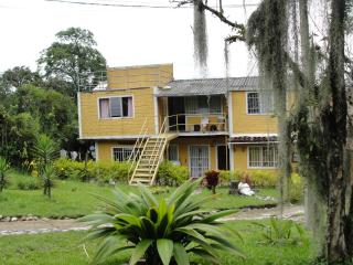 Rasta Room In The Magic Woodland - Envigado Medellin - Envigado - 8