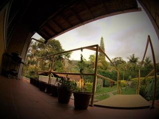 Rasta Room In The Magic Woodland - Envigado Medellin - Envigado - 2