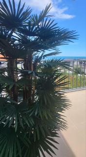 Ale's By The Sea - Mamaia Nord – Năvodari - 6