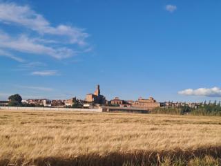 Apartamento rural Las Cañas Esencia de Bardenas - Villafranca - 7