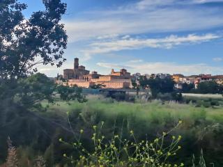 Apartamento rural Isla Esencia de Bardenas Navarra - Villafranca - 7