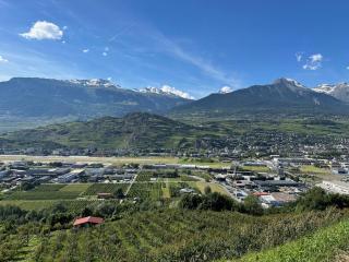 Why not - Sion - 1