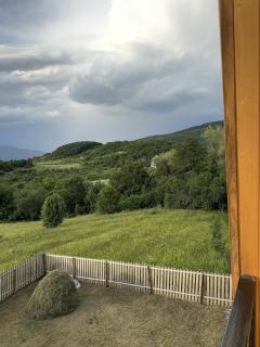 woodlandracha - Ambrolauri - 2