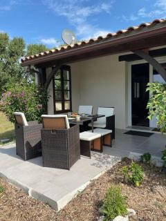 Peaceful gîte with stunning pool near market town - Montaigu-de-Quercy - 5