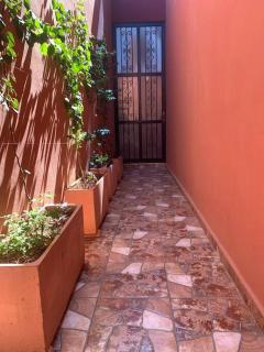 Step into our little oasis - Marrakesh - 9