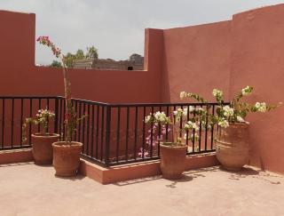 Step into our little oasis - 6