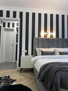 Studio Luxury Black & White - Alba Iulia - 7