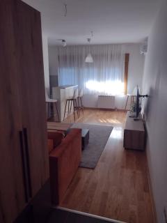 Harmonia Vracar - 6