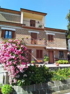 Casa vacanze il Mandolino tra Orvieto e Bolsena - 9