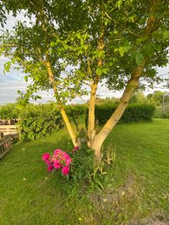 Ferienwohnung Bliesgau - Blieskastel - 3
