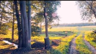 Camping - Idyllischer Wohnmobilstellplatz in der Mecklenburgischen Seenplatte#Mecklenburg-Vorpommern #See #Landleben - Carpin - 5