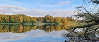 Camping - Idyllischer Wohnmobilstellplatz in der Mecklenburgischen Seenplatte#Mecklenburg-Vorpommern #See #Landleben - Carpin - 1