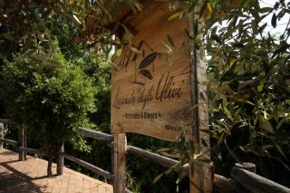 Locanda degli Ulivi - Mammola - 7