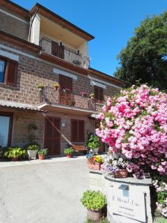 Casa vacanze il Mandolino tra Orvieto e Bolsena - 7