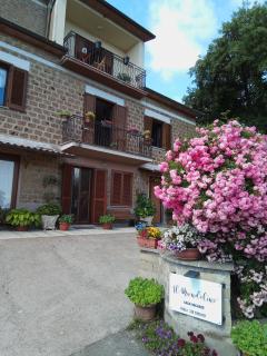 Casa vacanze il Mandolino tra Orvieto e Bolsena - 2