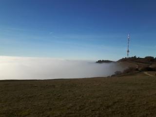 Ferienwohnung Birnbaum - 1