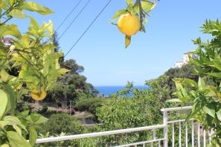 LA CASETTA DI ASIA - Vico Equense - 5