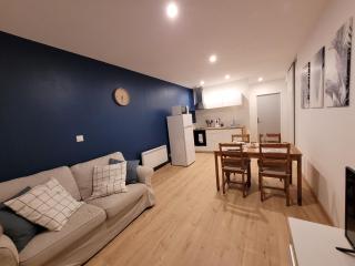 T2 spacieux centre-ville - 7