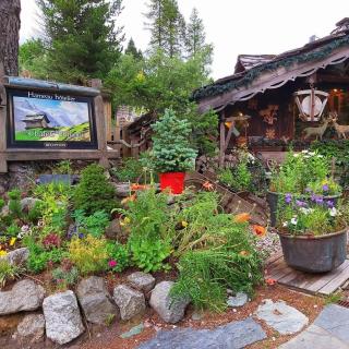 Hôtel Les Chalets de Philippe avec Jacuzzis Privatifs - Chamonix - 1