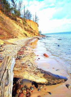 Gdynia Orłowo Żmudzka - Gdynia - 6