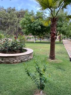Ultra Lüx Tarihi Villa - Yenice - 8